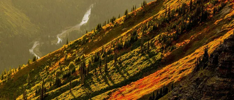 emisión de derechos de la tierra