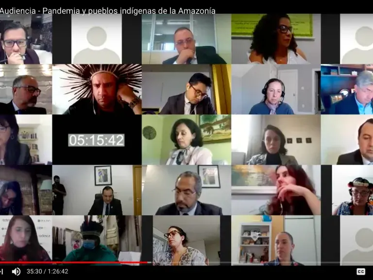 2020 IACHR Virtual Thematic Hearing Zoom screenshot