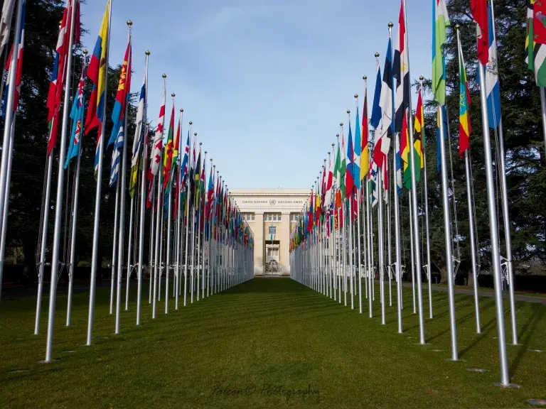 Campo de banderas nacionales de las Naciones Unidas