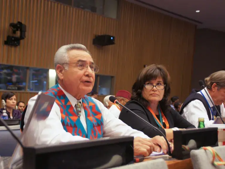 World Conference on Indigenous Peoples