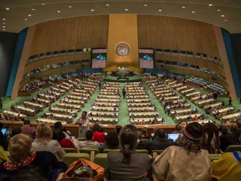 united nations indigenous representation