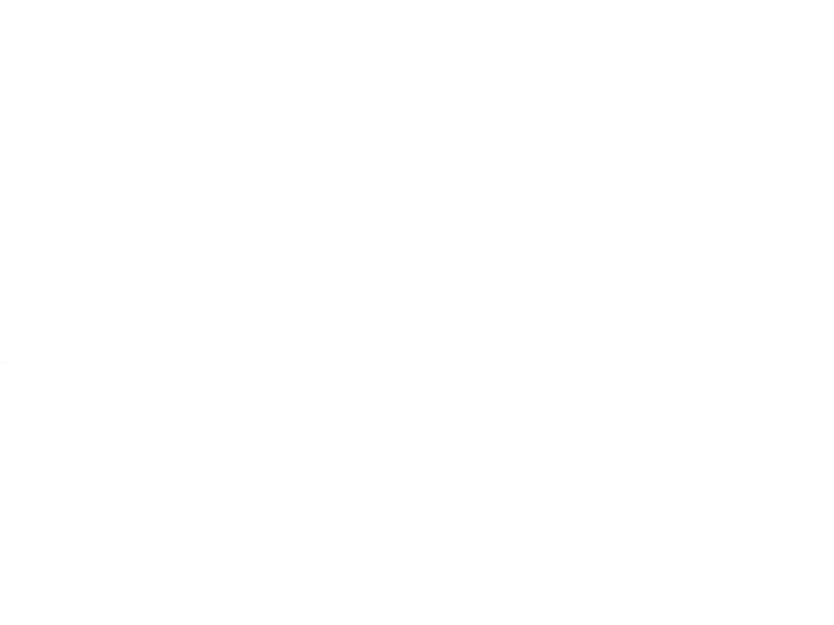 W.K. Kellogg Foundation logo