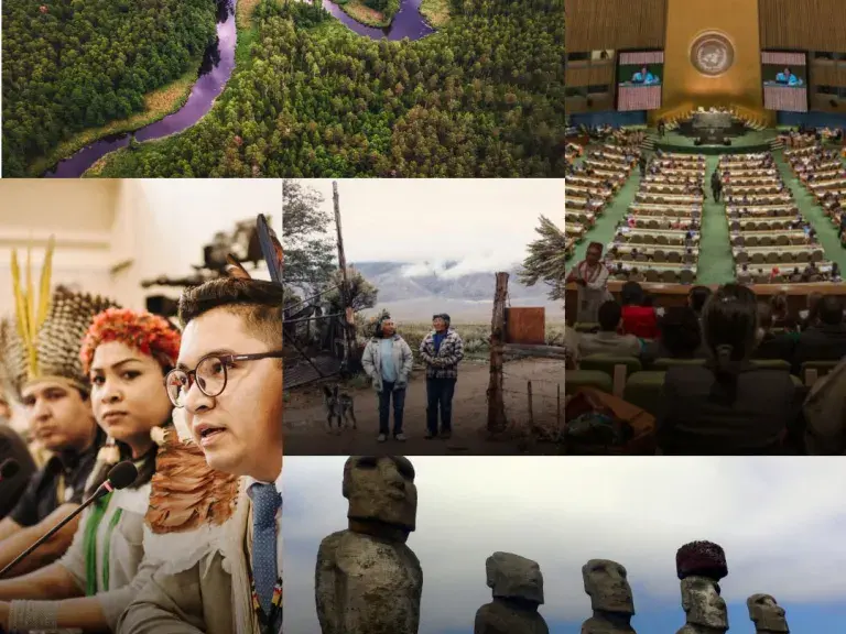 Proyectos del centro de recursos de derecho indio