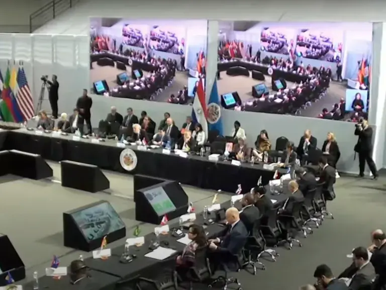 Captura de pantalla del Video del Centro de Recursos de la Ley de la India: Declaración de la Coalición de Naciones y Organizaciones Indígenas a la Organización de la 54ª Asamblea General de los Estados Americanos.