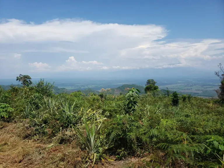 Imagen de paisaje de Agua Caliente de 2019.