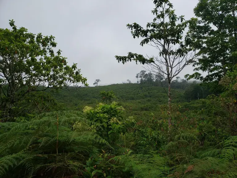 Paisaje de Agua Caliente de 2019