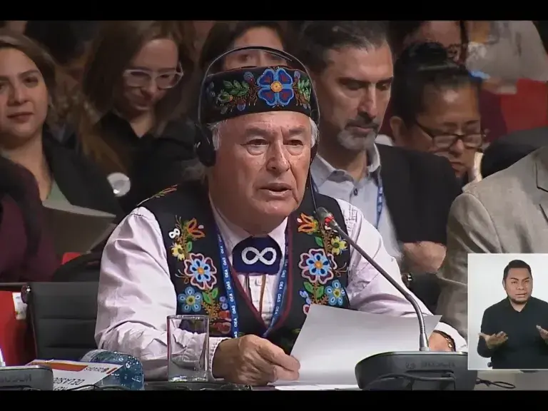Screenshot of Indian Law Resource Center video: &quot;Declaración de la Coalición de Naciones y Organizaciones Indígenas ante la 52ª Asamblea General de la Organización de los Estados Americanos&quot;