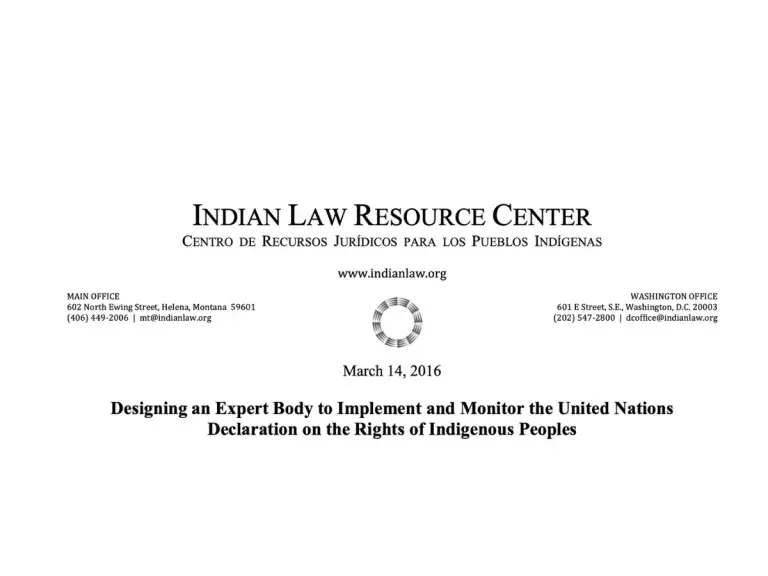 La imagen muestra texto que dice: Diseño de un organismo experto para implementar y monitorear la Declaración de las Naciones Unidas sobre los derechos de los pueblos indígenas