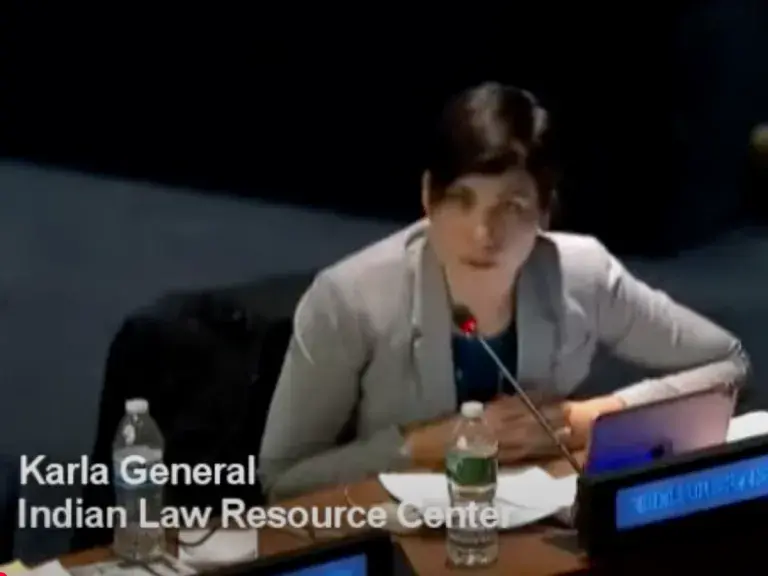 Karla General speaking at the Informal Consultations on Indigenous Participation at the UN - April 26, 2017