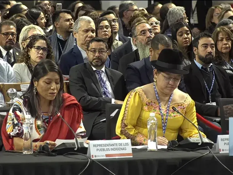 Captura de pantalla del Centro de Recursos de la Ley de la India Video: Declaración de la Coaliciación de Naciones y Organizaciones de Indímenes Ante la 54ª Asamblea General de la Organización de Los Estados Americanos