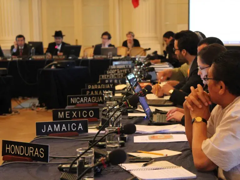 meeting of country representatives discussing the American Declaration on the Rights of Indigenous Peoples 