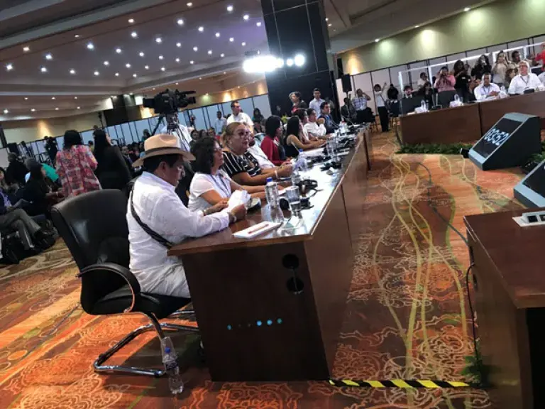 Image shows a panel of people discussing the proposed &quot;Plan of Action&quot;