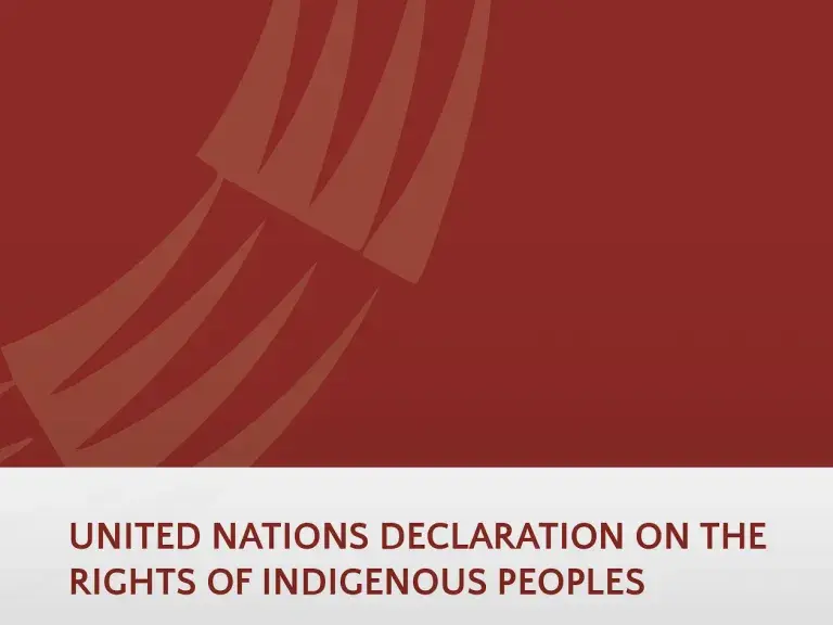 UNDRIP