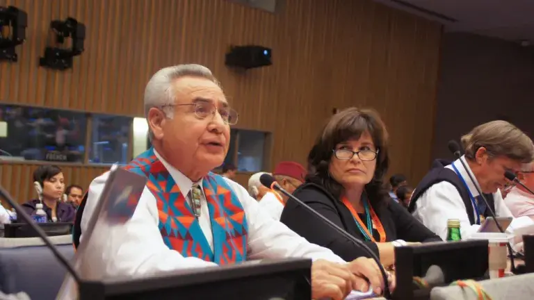 Conferencia Mundial sobre Pueblos Indígenas