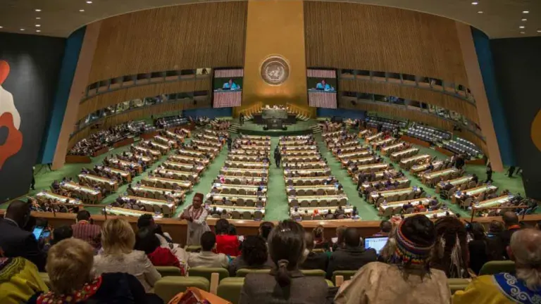 united nations indigenous representation