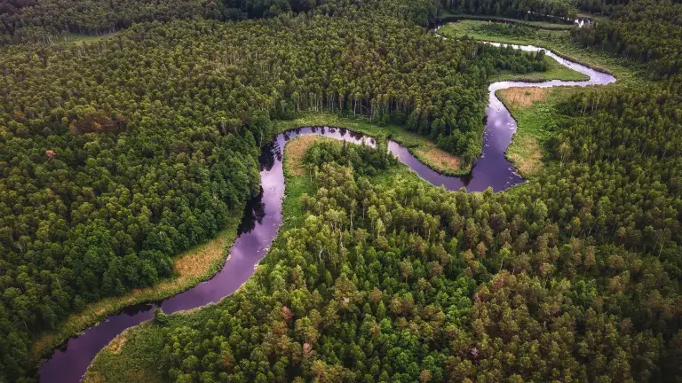 indigenous lands rainforest river aerial