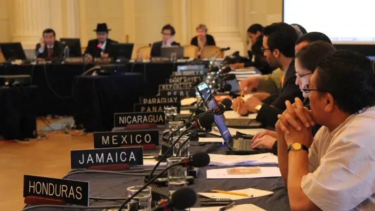meeting of country representatives discussing the American Declaration on the Rights of Indigenous Peoples