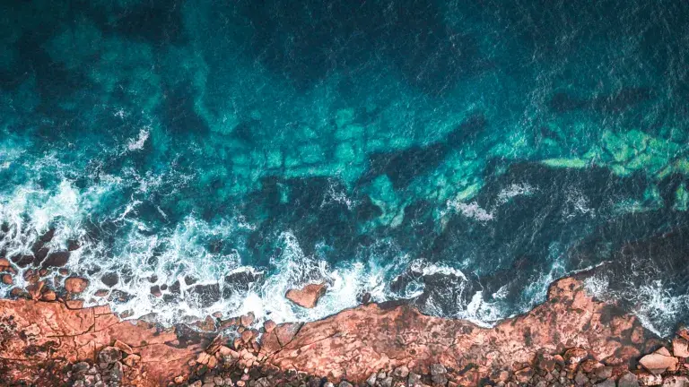 rocky ocean shore from above
